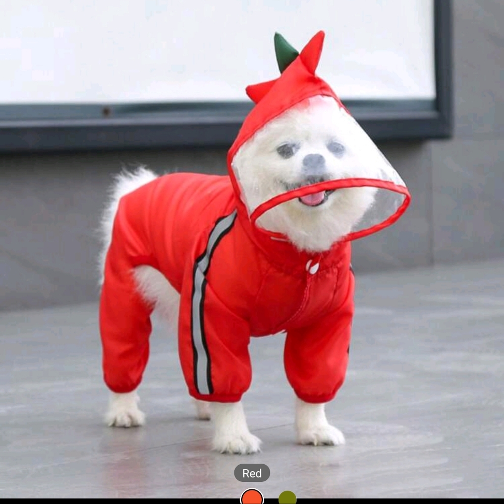 Dog raincoat